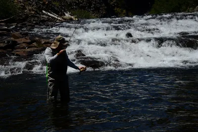 DSC_9934 (Large).JPG